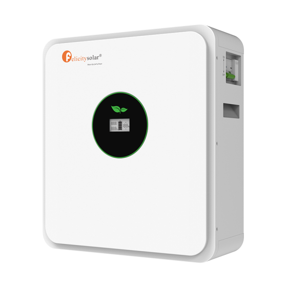 FelicitySolar FLA24200 24V 200AH Lithium Iron Battery