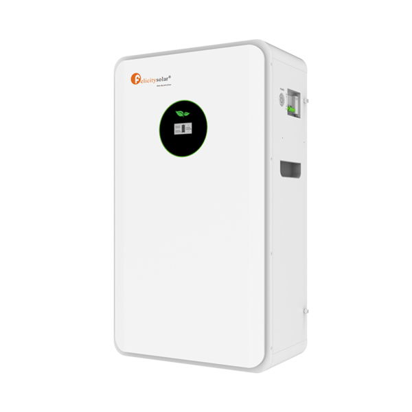 FelicitySolar FLA48200 48V 200AH Lithium Iron Battery